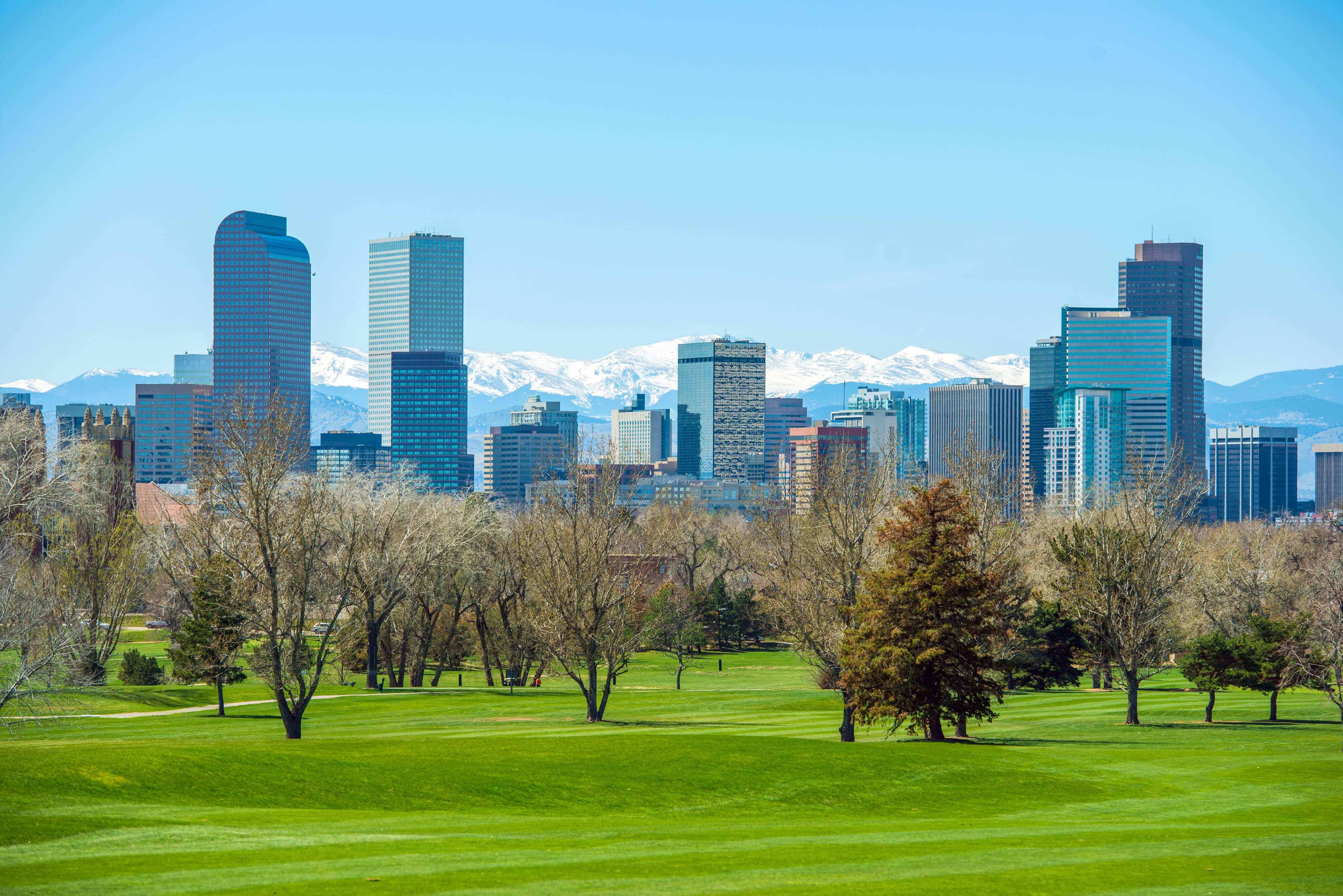 Digital Marketing Solution Denver