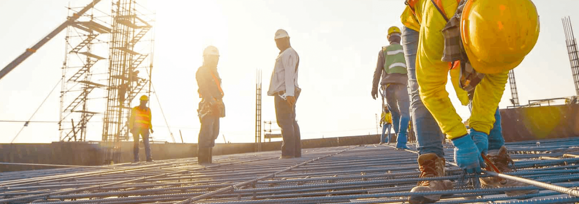 Energize Transformation, Improve Operations and Drive Efficiencies.